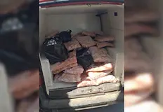 Агенцията праща нелегалните храни за унищожаване шофьорът е с актНад