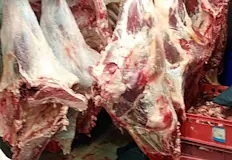 Инспекторите завариха нарушителите по време на самото кланеОбластната дирекция по