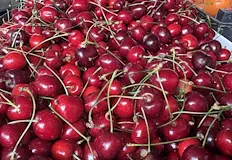 Родните овощари губят битката с евтиния плод от ГърцияПървите български