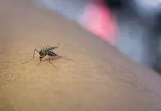 Доскоро страната беше единствената в света заедно с Антарктида без
