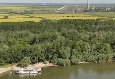 Държавата провали поръчката за дезинсекция по поречието на ДунавОбщина Русе
