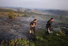 Бизнесдамата използва предотвратен пожар край Петрохан за да избели имиджа