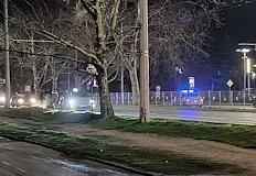 Инцидентът e станал след спирката от страната на мола състоянието