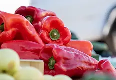 Данъчни хванаха спекула с цените при над 500 стокиСъвместни масирани