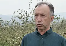 Сортът Стефания се превръща в хит сред фермеритеИзключително силен сезон