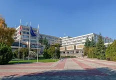 Влечугото е пострадало тежко след неволно прищипване с врата6 метров питон