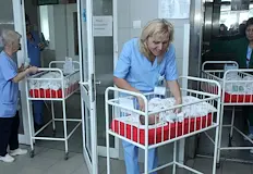 946 непълнолетни момичета станаха майки от началото на годинатаНад 3800