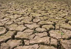 Засегнатите площи у нас нараснаха с близо 18 000 квадратни