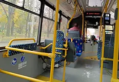 Жената е получила охлузна рана на главатаПътен инцидент с превозно