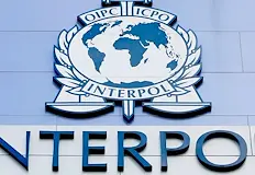 Операция OTF GRIMM разкри над 14 000 профила за набиране