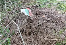 Жителите на улица Голям Богдан недоволстват от бездействието на почистващите