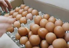 Митничари спряха бус с нелегални храни от ТурцияНад 230 килограма