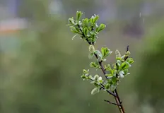 Температурите в края на април и началото на новия месец