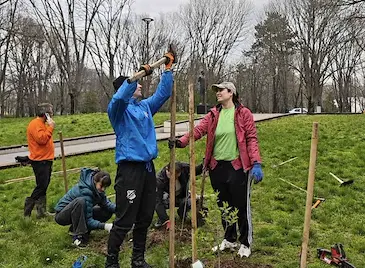 Доброволци засадиха червени дъбове и люляци в Парка на възрожденците