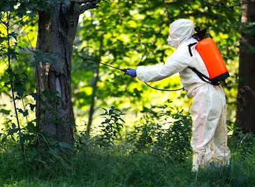 Започва пръскането срещу кърлежи в Русе