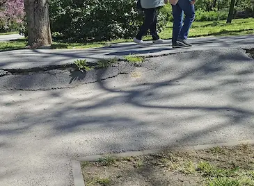 Огромно пропадане погълна алея в Парка на младежта в Русе