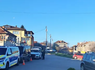 Изборни търговци купуват гласове в Русенско с дърва за огрев