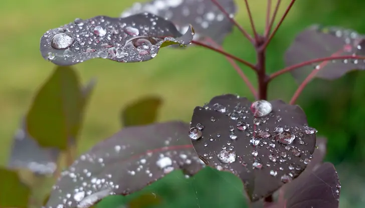 Температурите падат в края на седмицата Температурите падат в края на седмицата