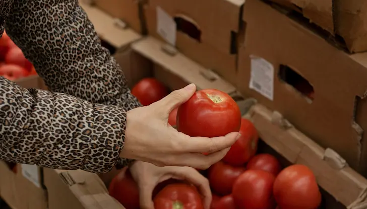 Пестициди и токсини спряха 51 пратки от трети страни Пестициди и токсини спряха 51 пратки от трети страни