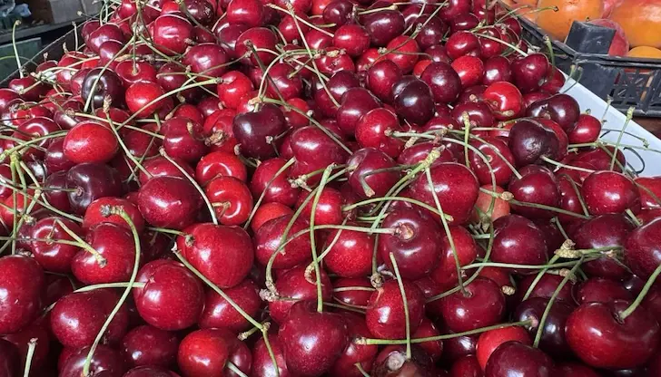 Родните овощари губят битката с евтиния плод от Гърция Родните овощари губят битката с евтиния плод от Гърция