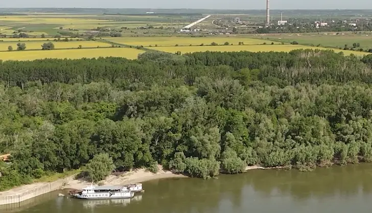 Държавата провали поръчката за дезинсекция по поречието на Дунав