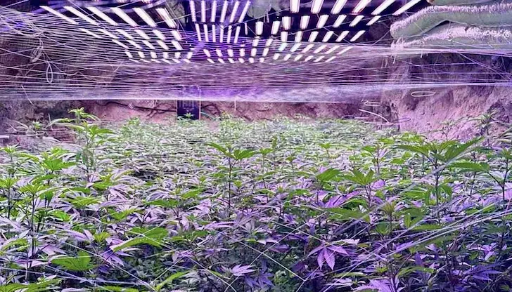 Наркотиците били предназначени за износ към Близкия изток