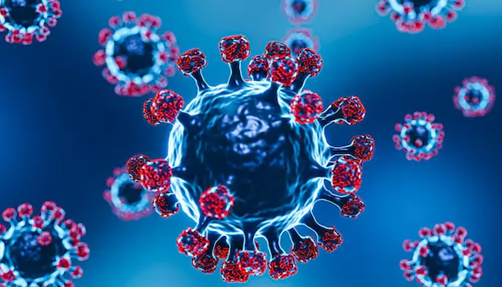 Вирусът е опасен за бебетата и се пренася лесно от здрави възрастни Вирусът е опасен за бебетата и се пренася лесно от здрави възрастни