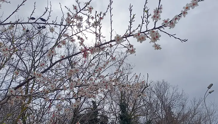 Облаци закриват небето над Северозападна България Облаци закриват небето над Северозападна България