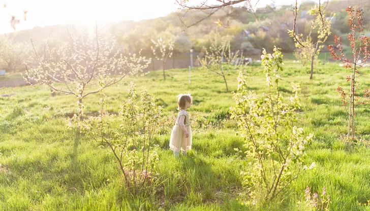 Слънчево време и слаб вятър преобладават в страната Слънчево време и слаб вятър преобладават в страната