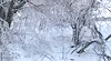 Сняг на прохода Шипка