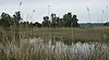 РИОСВ - Русе сформира спецзвено за защитените зони от Натура 2000