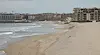 Морето изхвърли мъртви делфини край Варна и "Слънчев бряг"