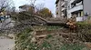 Вятър със скорост 90 км/ч връхлита Русе в сряда