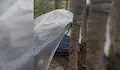 Отмениха обявяването на смъртта на отшелника Боян Иванов
