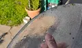 Майска слана в село Червена вода
