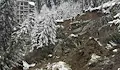Дренаж от нов ремонт срути пътя към Пампорово?