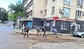Пуснаха затворници да разчистват след пороя в Габрово