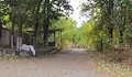 Община Русе оставя хижа „Приста“ без видеонаблюдение и ремонт
