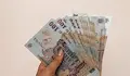 Румънската лея се срина до рекордно ниска стойност