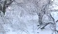Сняг на прохода Шипка