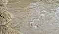Стара река отнесе част от трасето на пречиствателната станция на Карлово