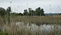 РИОСВ - Русе сформира спецзвено за защитените зони от Натура 2000