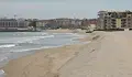 Морето изхвърли мъртви делфини край Варна и "Слънчев бряг"