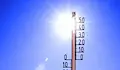 Живакът скача до 33° през първата седмица на юни