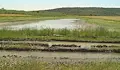 Река Студена заблати хиляди декари в Русенско