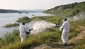 Пръскат спешно срещу комари край Дунав след блокирана поръчка