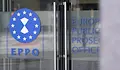 Рестартираха избора за нов европейски прокурор на България