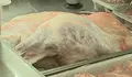 Агнешкото за Гергьовден закова 16 евро за килограм