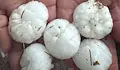 Градушка порази редица региони в България