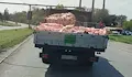 Заснеха открит камион да превозва животински отпадъци в Русе